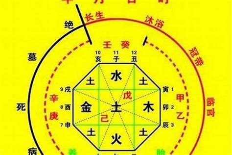 八字 四庫|論八字命理中的墓和庫